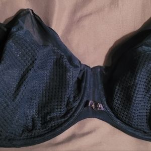 36G Navy Blue Bra